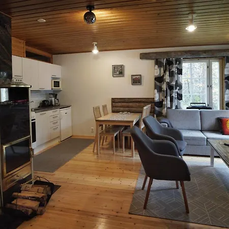 Apartamento Rukanetelaerinne H Ruka