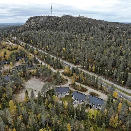 Rukanetelaerinne H *