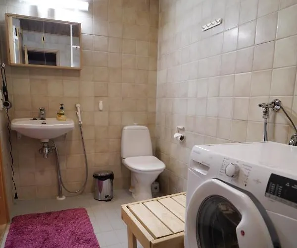 Rukanetelaerinne H *