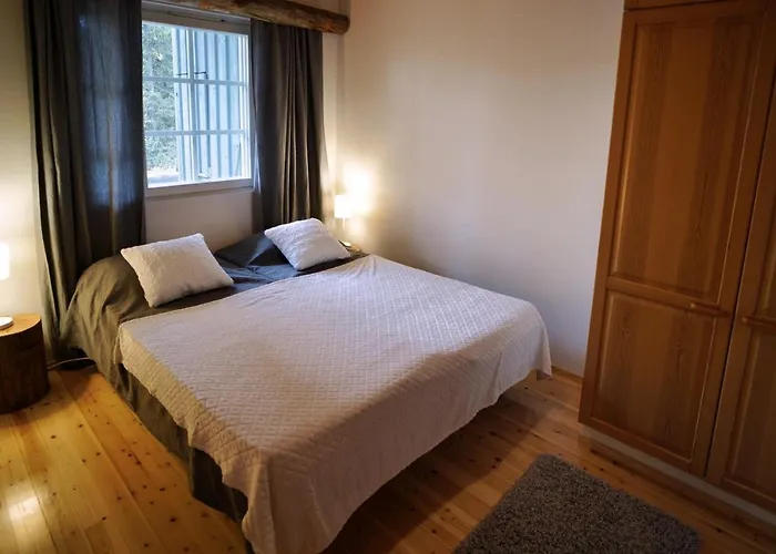 Rukanetelaerinne H *