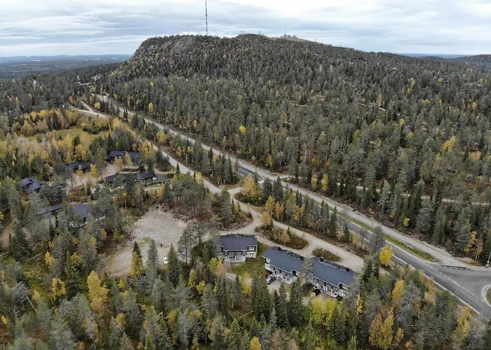 Rukanetelaerinne H *